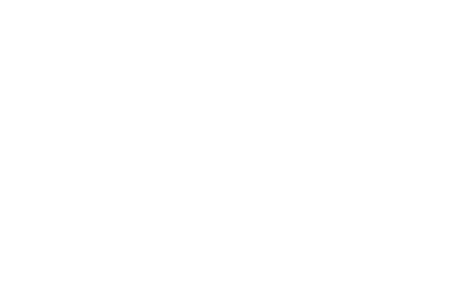 hispnovema