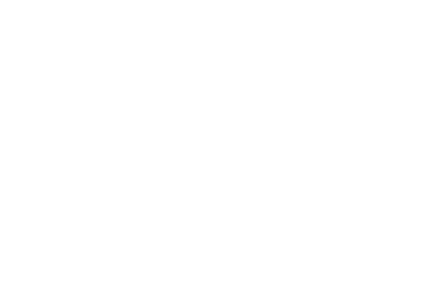 meggitt-logo